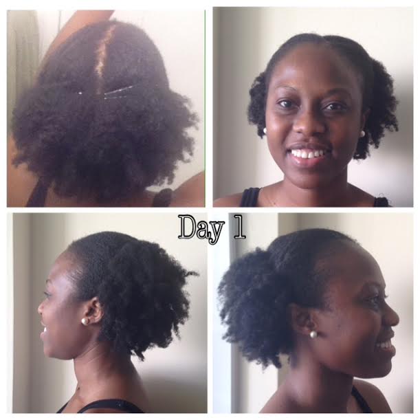 I survived a week's natural hair challenge!